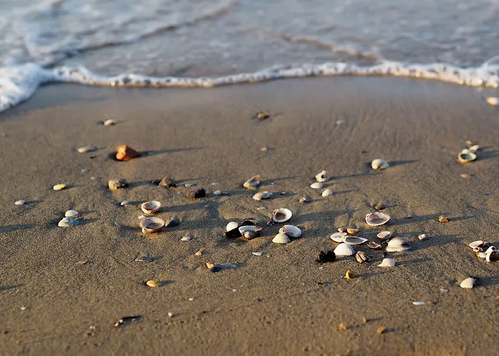 Appartement Colourful Flat With Balcony In *
